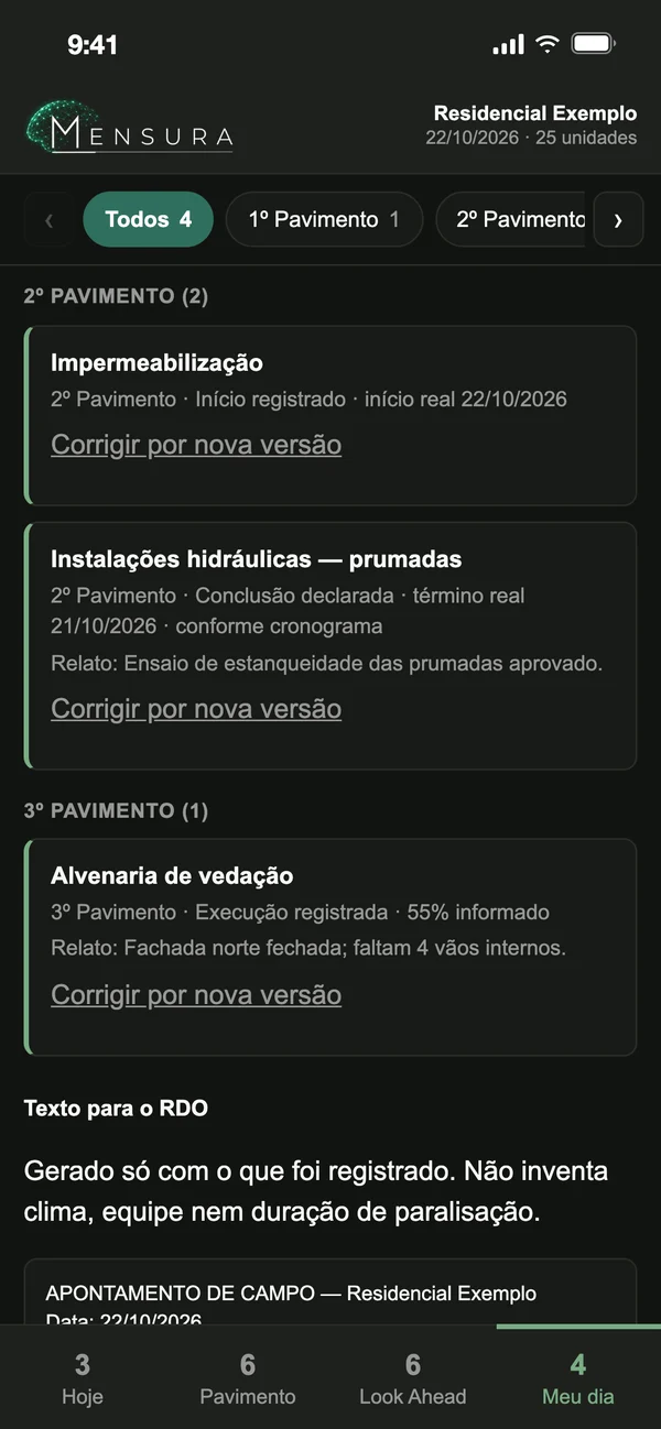 Meu dia — obra fictícia